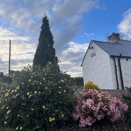 Dans Wee Cottage Slieve Croob Dromara Castlewellan Newcastle Eksteriør bilde