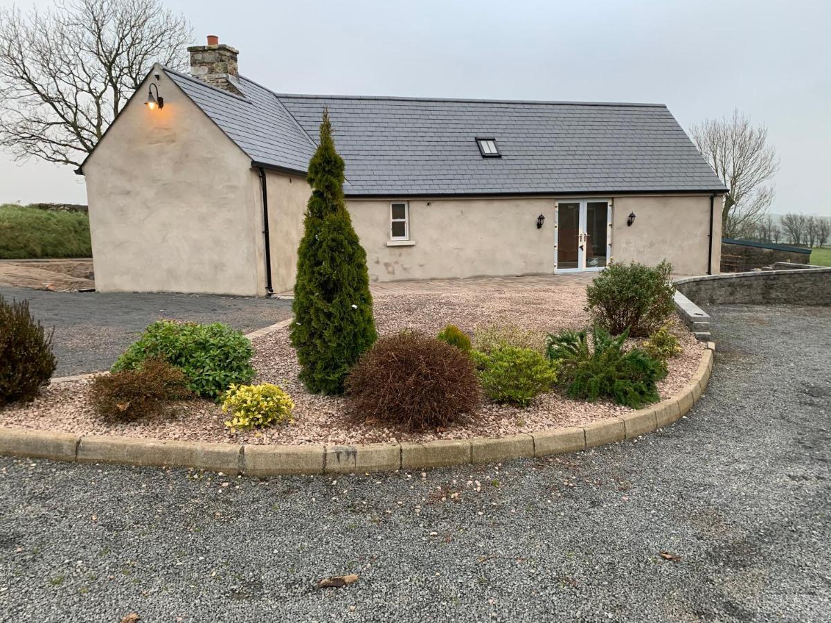 Dans Wee Cottage Slieve Croob Dromara Castlewellan Newcastle Eksteriør bilde