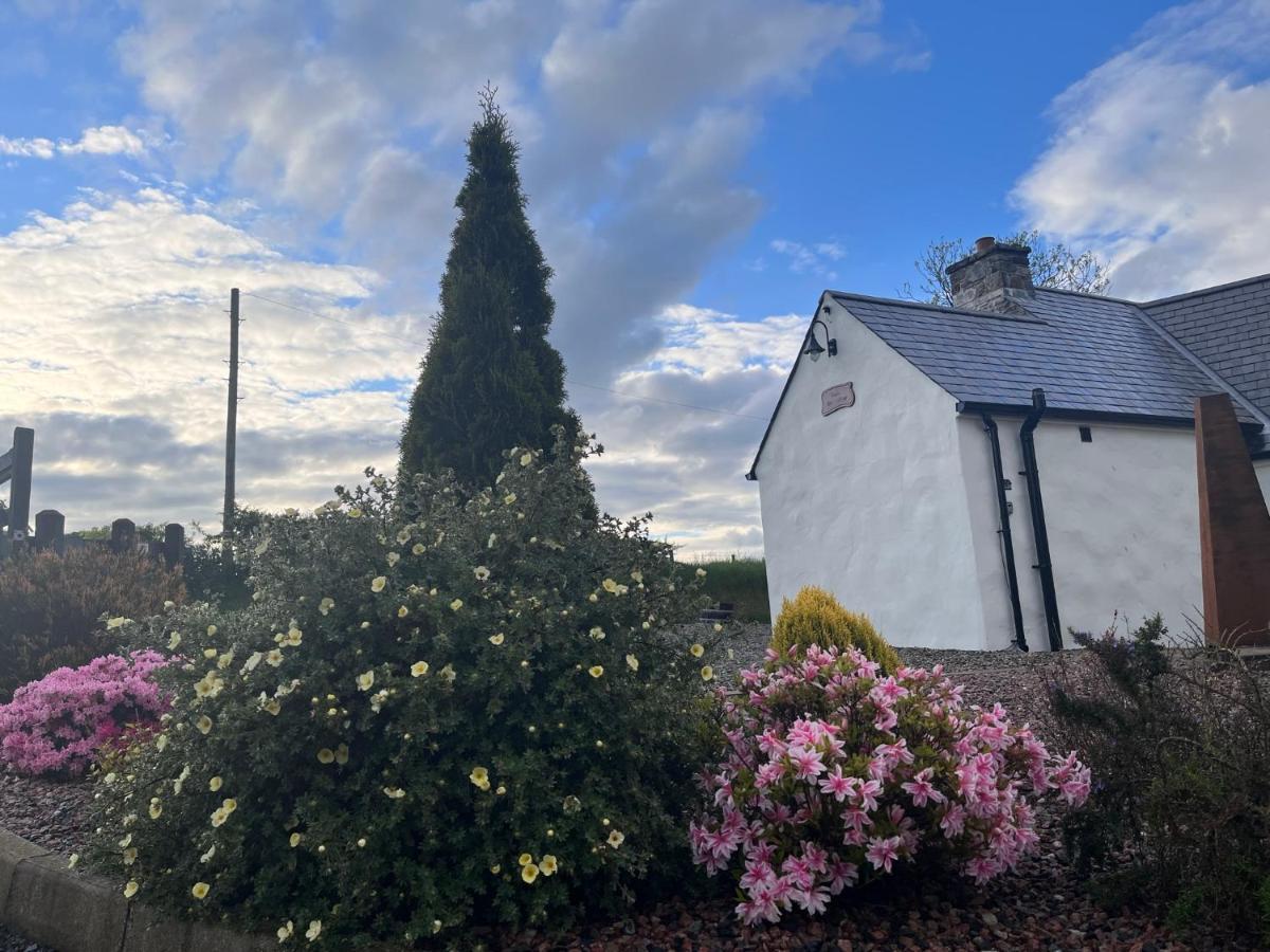 Dans Wee Cottage Slieve Croob Dromara Castlewellan Newcastle Eksteriør bilde
