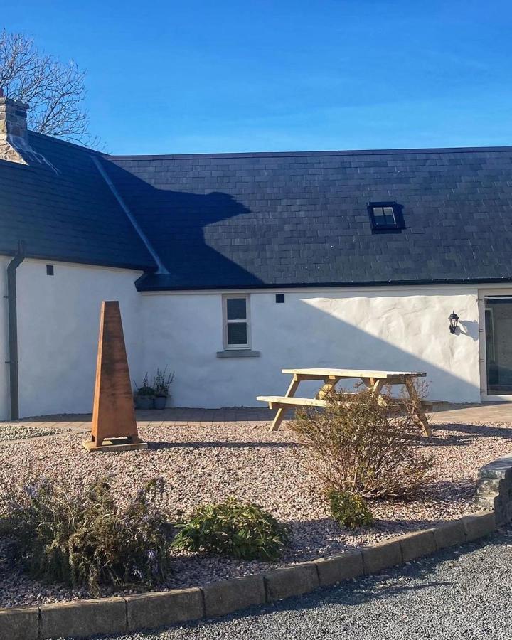 Dans Wee Cottage Slieve Croob Dromara Castlewellan Newcastle Eksteriør bilde