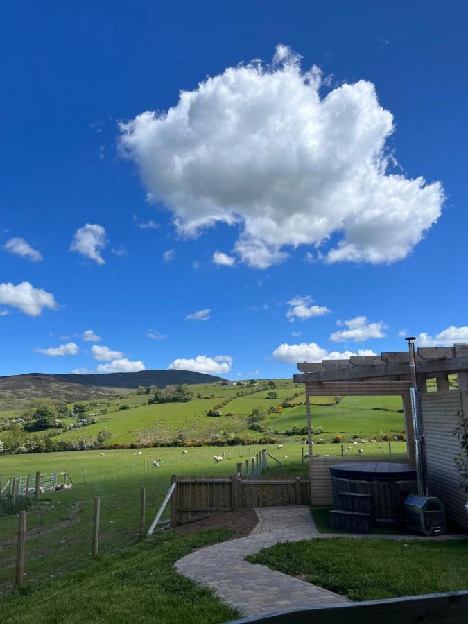 Dans Wee Cottage Slieve Croob Dromara Castlewellan Newcastle Eksteriør bilde