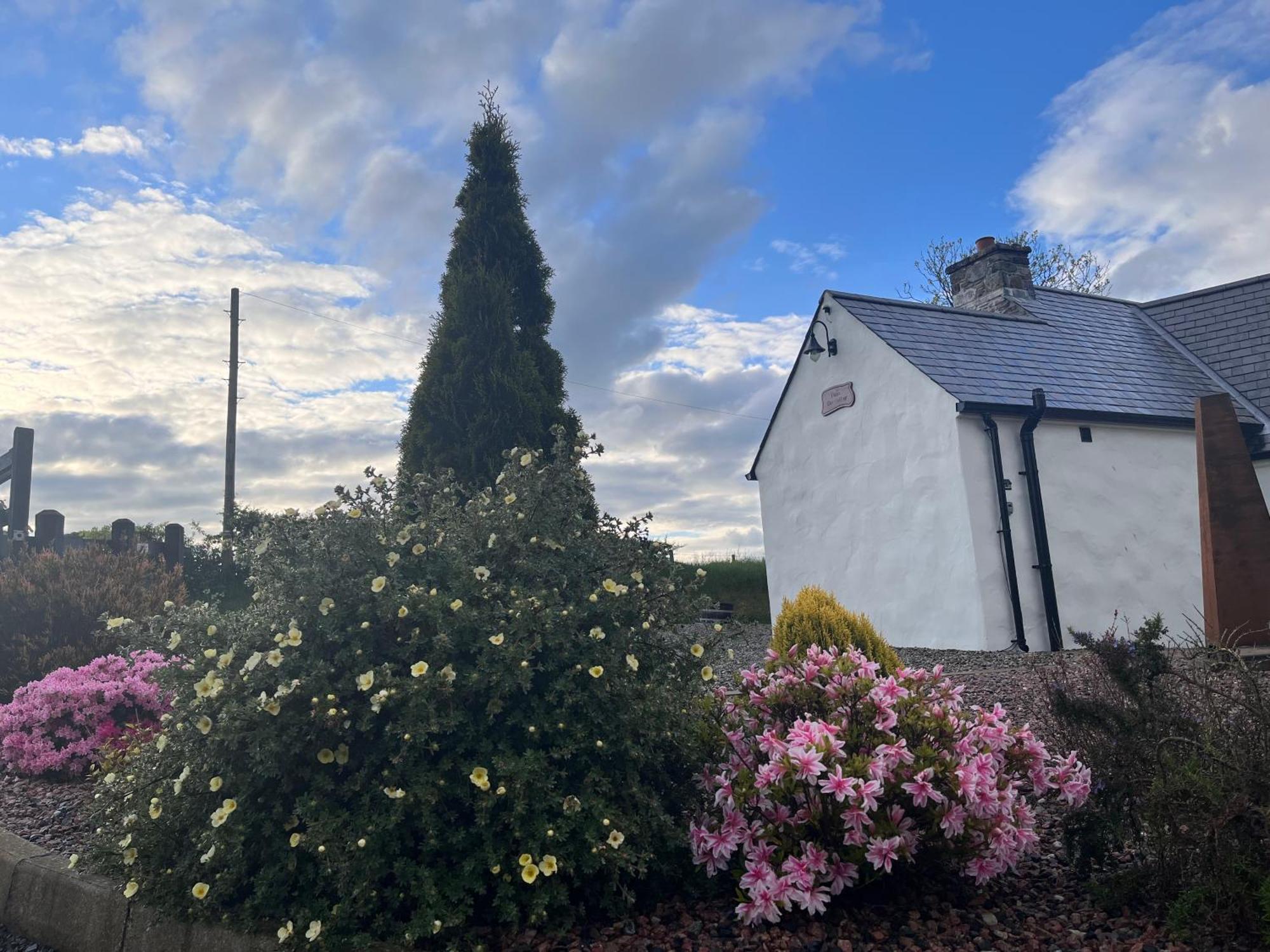 Dans Wee Cottage Slieve Croob Dromara Castlewellan Newcastle Eksteriør bilde